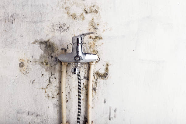 Home Mold Removal in Raven, VA