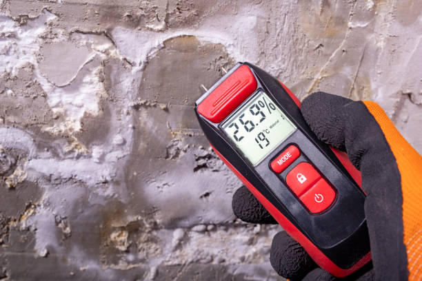 Best Office Mold Removal Services  in Raven, VA