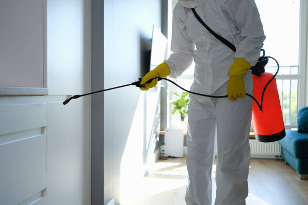 Best Toxic Mold Removal  in Raven, VA