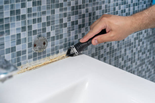 Raven, VA Mold Removal Company