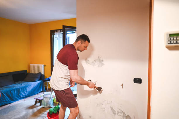 Best Mold Removal Process  in Raven, VA