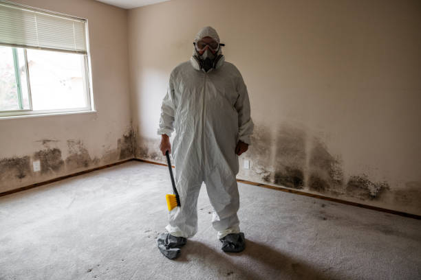 Best Professional Mold Removal  in Raven, VA